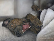 "Cooper" - Hundeportrait in Pastellkreide, 30 cm x 24 cm, Auftragsarbeit