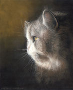 "Ramses" - Katzenportrait in Pastellkreide, 24 cm x 30 cm, Auftragsarbeit