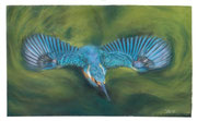 "Eisvogel", Pastellkreide, ca. 15 cm x 20 cm - verkauft -
