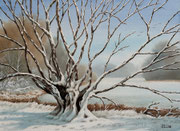 Winterweide, 30x40, Aquarell auf Papier