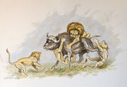 Jagende Löwen, 30x40, Aquarell auf Papier
