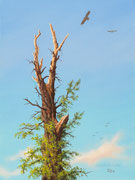 Alte Linde, 40x30, Acryl auf Leinwandplatte