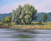 Elbufer, 40x50, Acryl auf Leinwandplatte