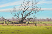 Mecklenburger Landschaft, 60x40, Öl auf Leinwandplatte
