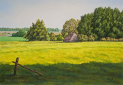 Sommerlandschaft, 35x50, Acryl auf Papier