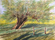 Feldweide, 30x40, Aquarell auf Papier