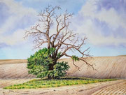 Auf verlorenem Posten, 30x40, Aquarell auf Papier