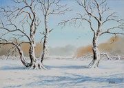 Winterlandschaft, 30x40, Aquarell auf Papier
