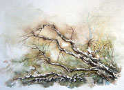Geäst, 30x40, Aquarell auf Papier