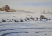 Winterwiesen, 30x40, Aquarell auf Papier