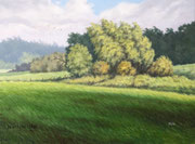 Sommerwind, 30x40, Öl auf Leinwandplatte