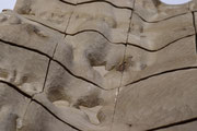 layer6｜樟｜2021｜ hikari sekine + midori takayama "Wood dust from Paleography"｜galerieH