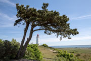 Steffen Dörfel - "Leuchturm auf Hiddensee"