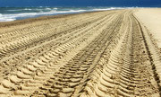 Birgit Petrasek - "Sandspur"