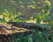 Ecosia Vogel, 2024, Öl auf Leinen, 40 x 50 cm