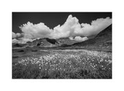 Italien, Gran Paradiso NP