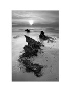 Weststrand, Darß, Mecklenburg-Vorpommern, Deutschland