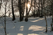 Tramonto invernale visto dal bosco 