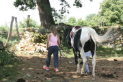 Travaille sur l'autonomie de l'enfant avec son poney