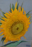 Sonnenblume / Sunflower, Öl auf Holz 26 x 32 cm inkl. Rahmen, 2008  Oil on Wood. Ic. Frame.
