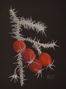 Raureif mit Früchten, Pastell, auf schwarzem Papier, 30 x 40 cm, 2026.