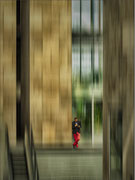 Photo : J Garcia