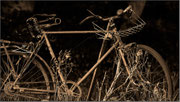 Photo:A Tomasi