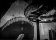 Photo: M Vidal