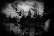 Photo:Didier Champion