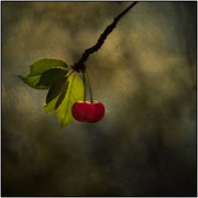 Photo: J Garcia