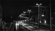 Photo: M Vidal