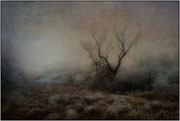 Photo: J Garcia