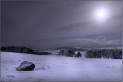 Photo: Y Lardy