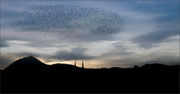 Photo: AM Houriez