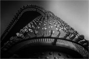 Photo : M Vidal