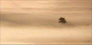Photo: AM Houriez