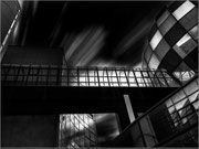 Photo : J Garcia