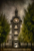 Photo: J Garcia