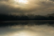 Photo: C Roy