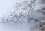 Photo: G Huron