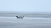 Photo:L Gaetan