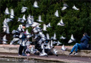 Photo: AM Houriez
