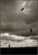 Cerfs volants