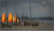 Photo: J Garcia