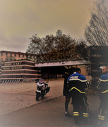 Photo: M Faure
