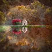 Photo: C Roy
