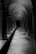Photo: G Berlioux