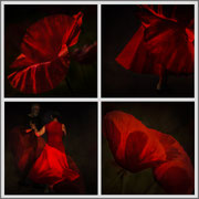 Photo: S Lots