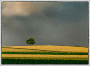 Photo:D Parigot
