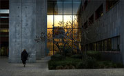 Photo : A M Houriez